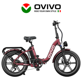Elektrinis dviratis OVIVO NEO C2 250W 48V 18Ah NEOC2