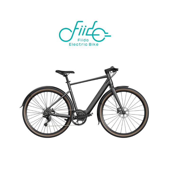 Elektrinis dviratis FIIDO C21 GREY XL 250W 36V, 5,8Ah FC21XL