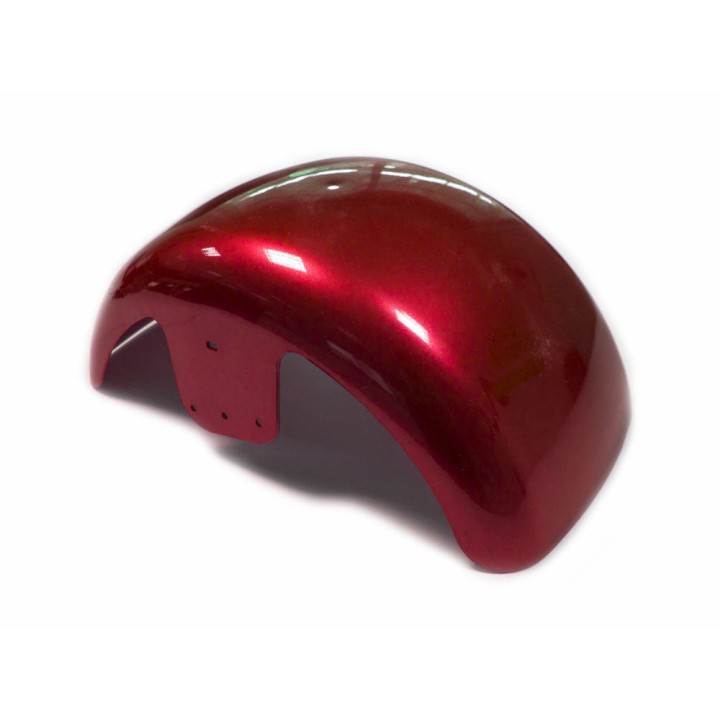 Elektrinio paspirtuko Citycoco purvasaugis