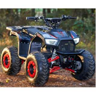Vaikiškas elektrinis keturratis ATV-13EC 750W 48V 12Ah