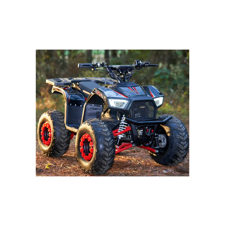 Vaikiškas elektrinis keturratis ATV-13EC 750W 48V 12Ah