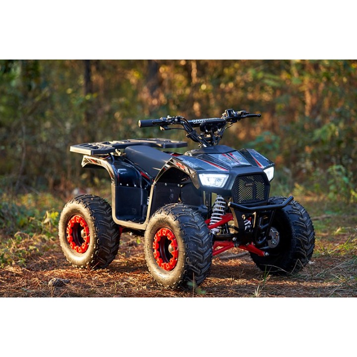 Vaikiškas elektrinis keturratis ATV-13EC 750W 48V 12Ah