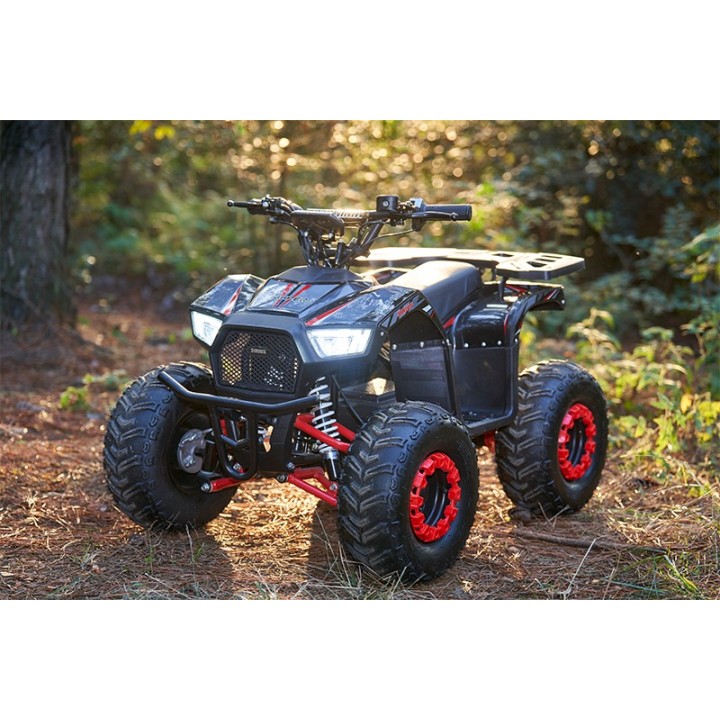 Vaikiškas elektrinis keturratis ATV-13EC 750W 48V 12Ah