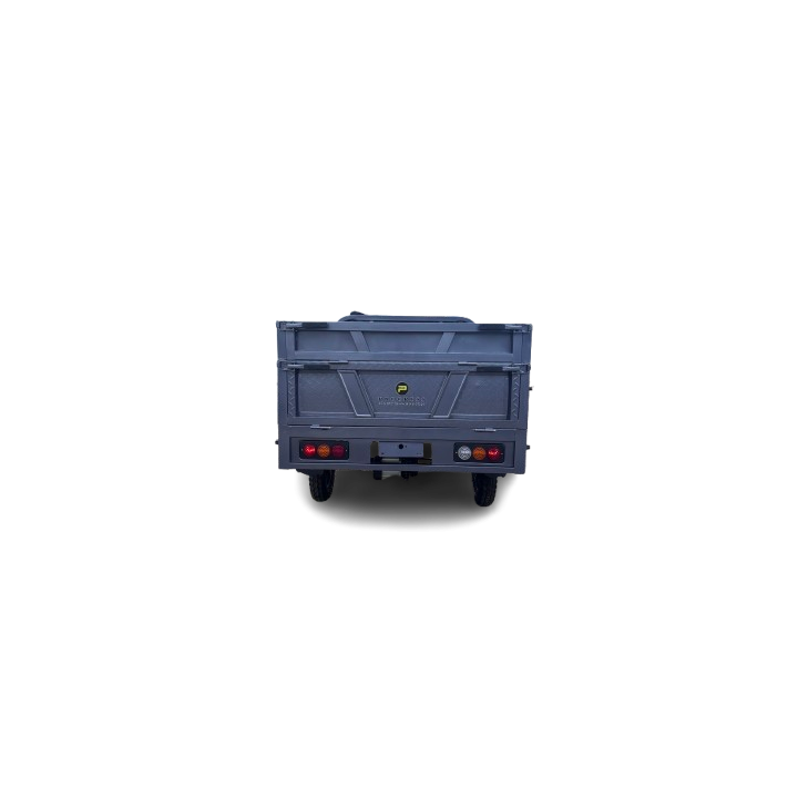Elektrinis krovininis triratis PROGRESS CARGO MAX 950W 60V 45Ah